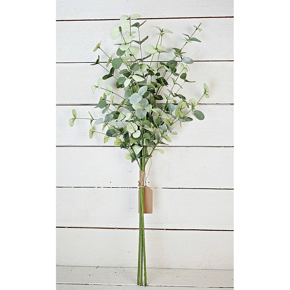 Silver Dollar Eucalyptus Bundle