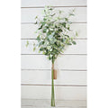 Silver Dollar Eucalyptus Bundle