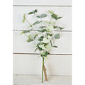 Silver Dollar Eucalyptus Pick