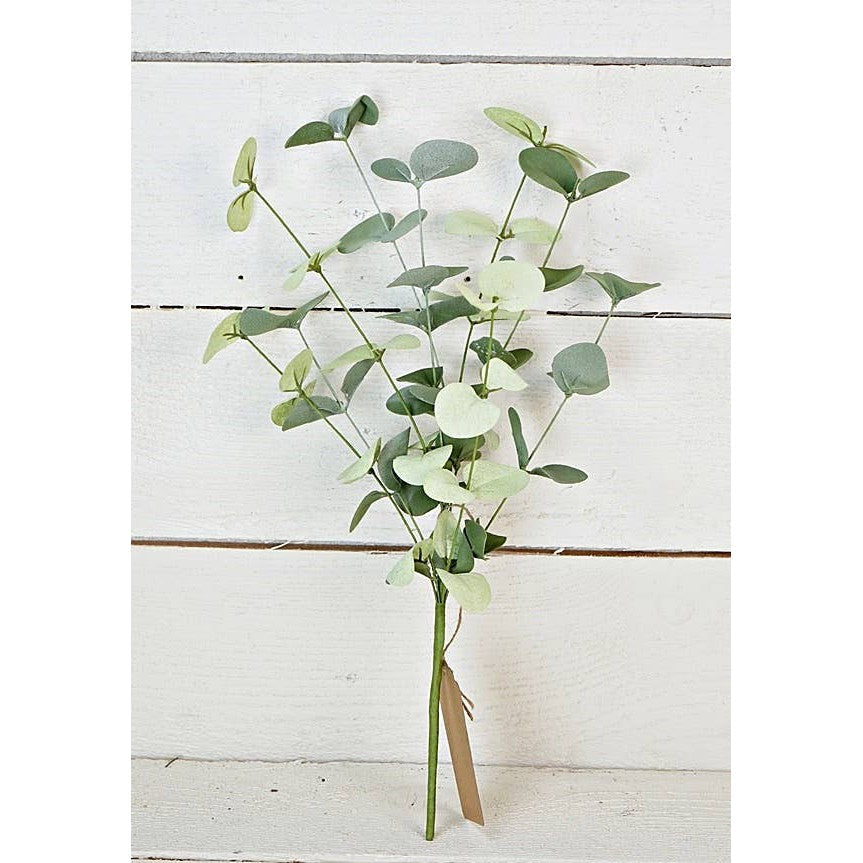Silver Dollar Eucalyptus Pick