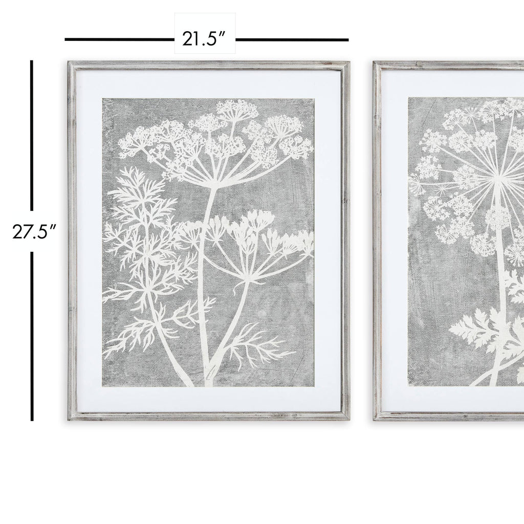 Blooming Queen Anne's Lace Prints