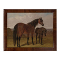 Vintage Horse K on Linen Framed Print by Antique Curiosities Inc