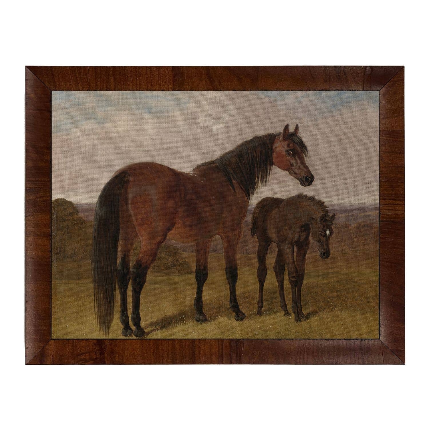 Vintage Horse K on Linen Framed Print by Antique Curiosities Inc
