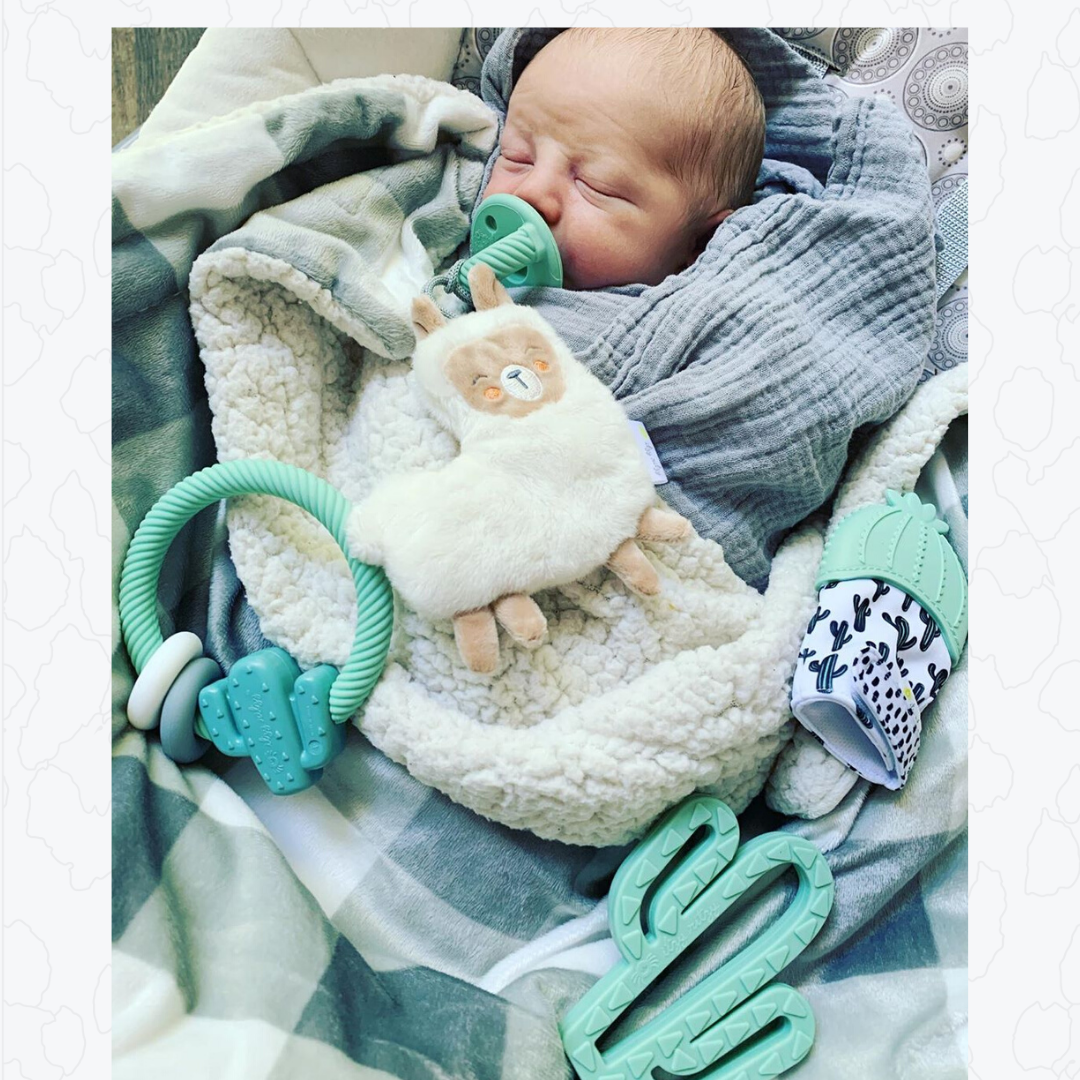 Ritzy Rattle Silicone Teether Rattles