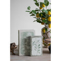 Fern Leaf Book Storage Boxes, Set of 2