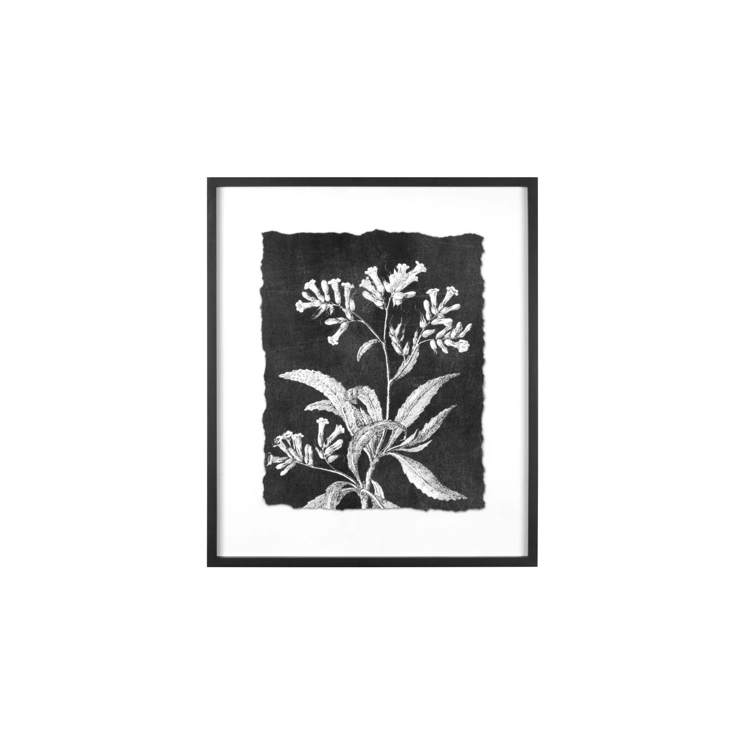 Botanical Print Wall Decor