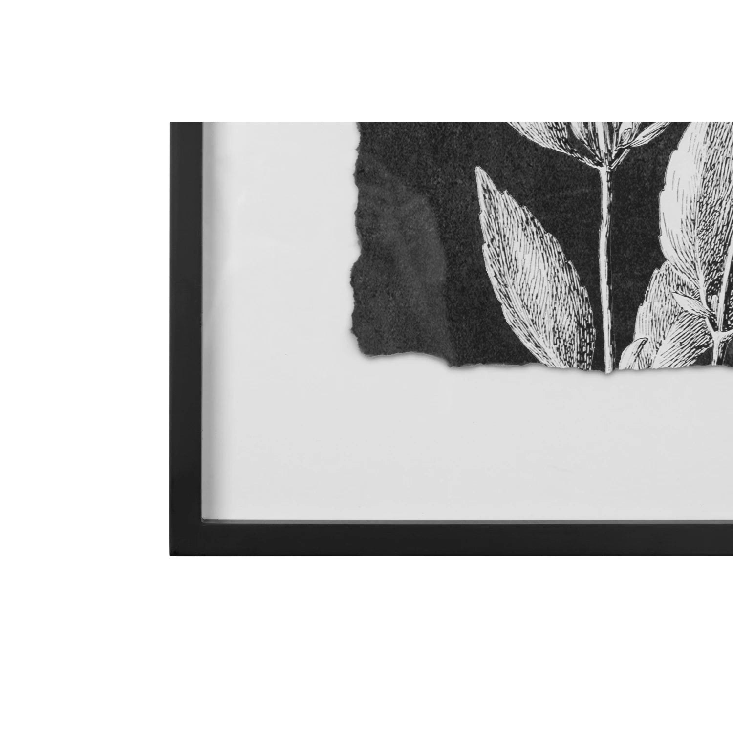 Botanical Print Wall Decor