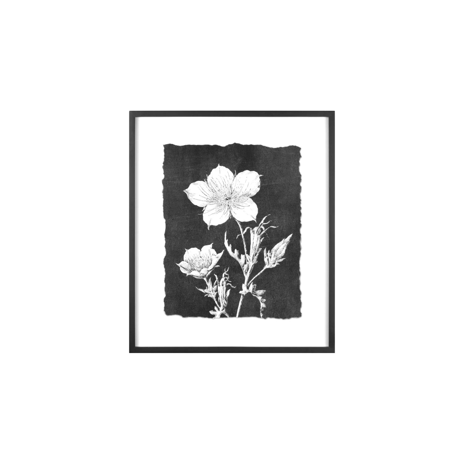 Botanical Print Wall Decor