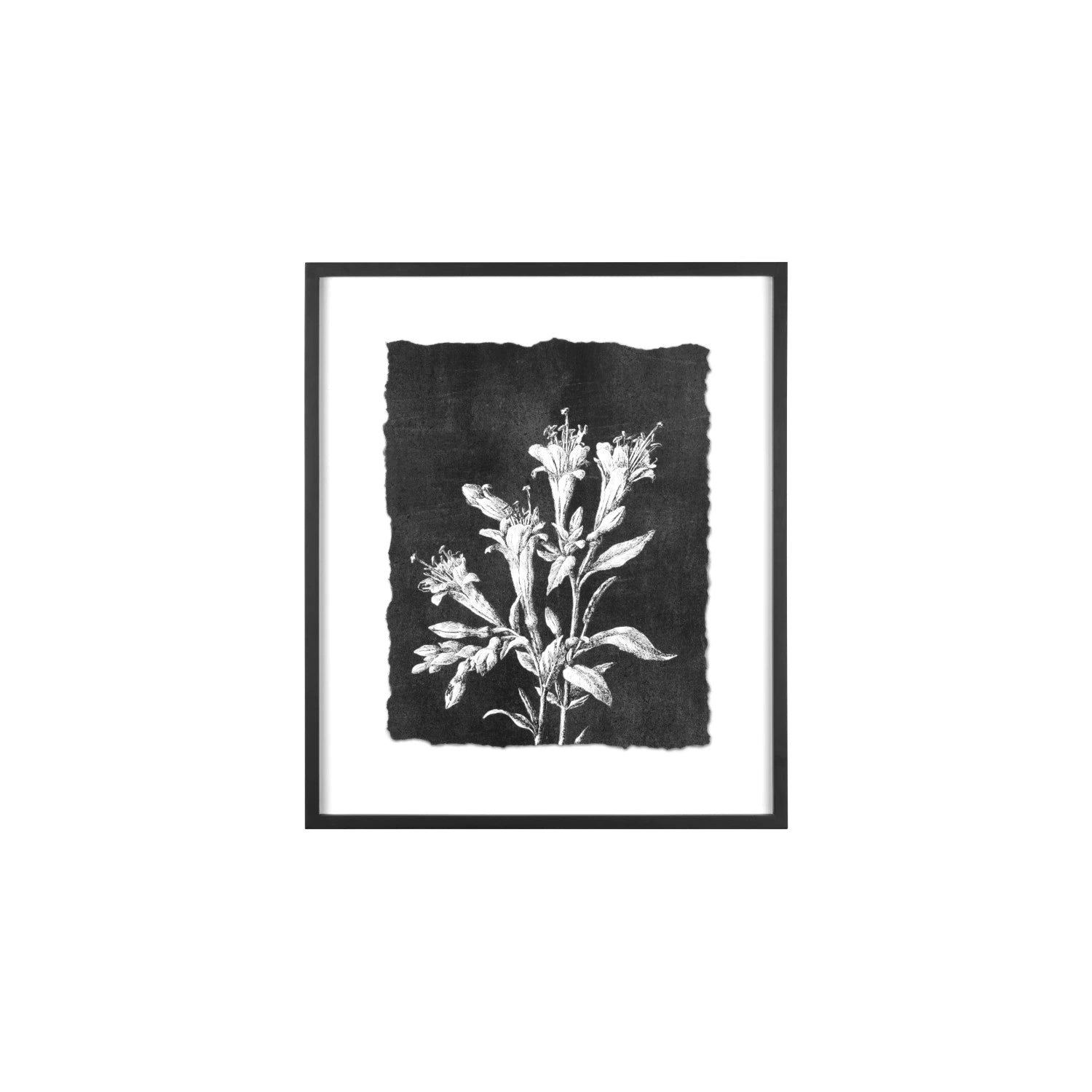 Botanical Print Wall Decor