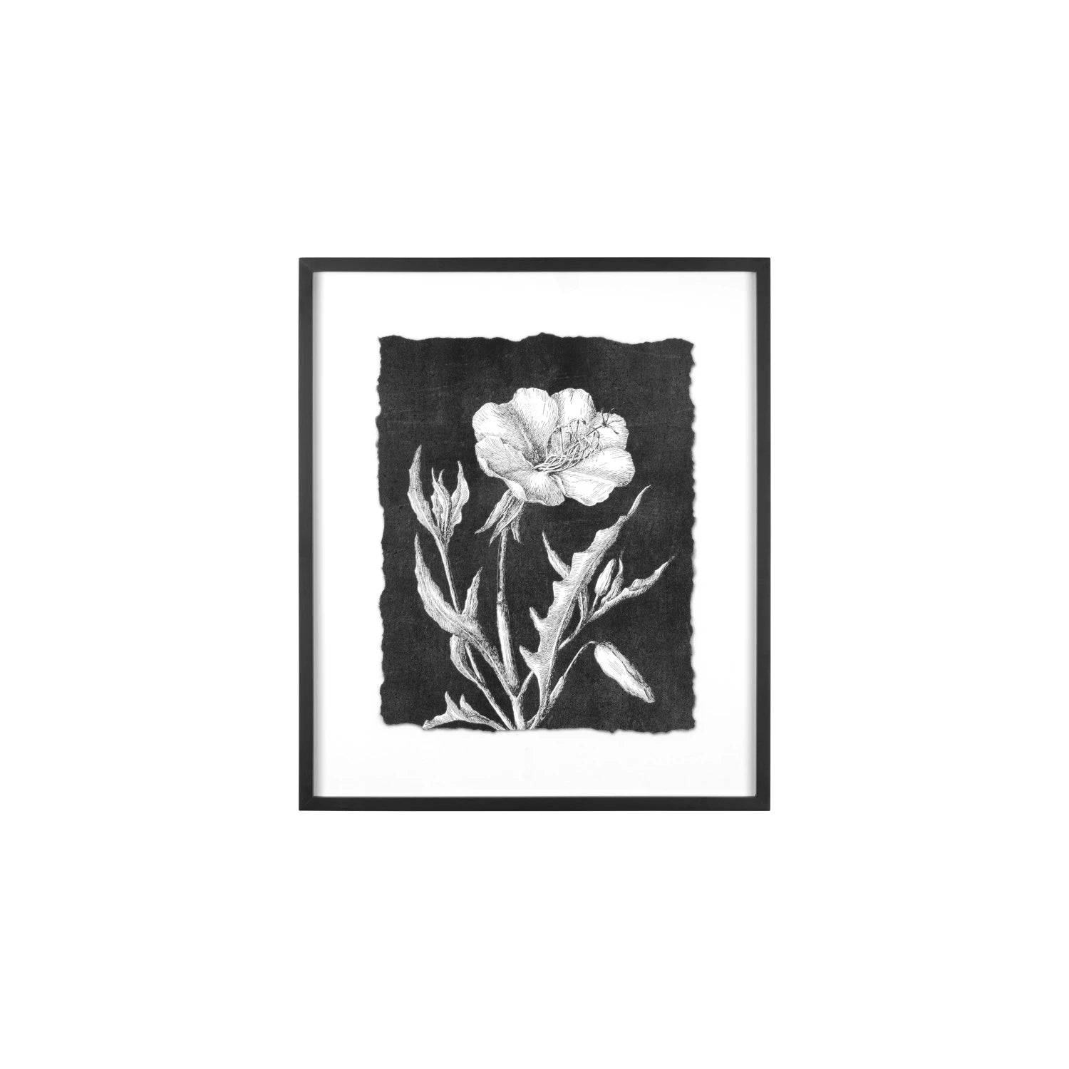 Botanical Print Wall Decor