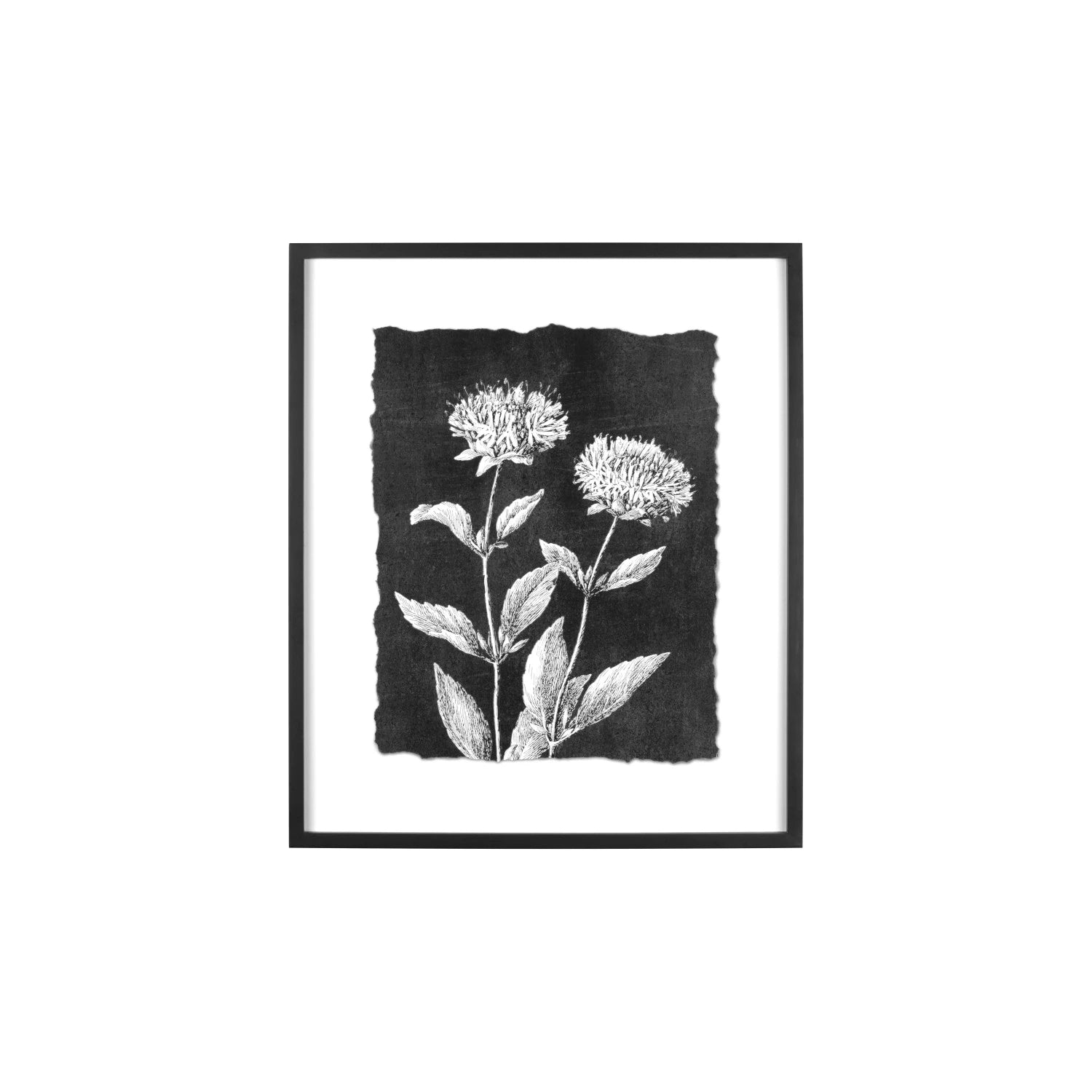 Botanical Print Wall Decor