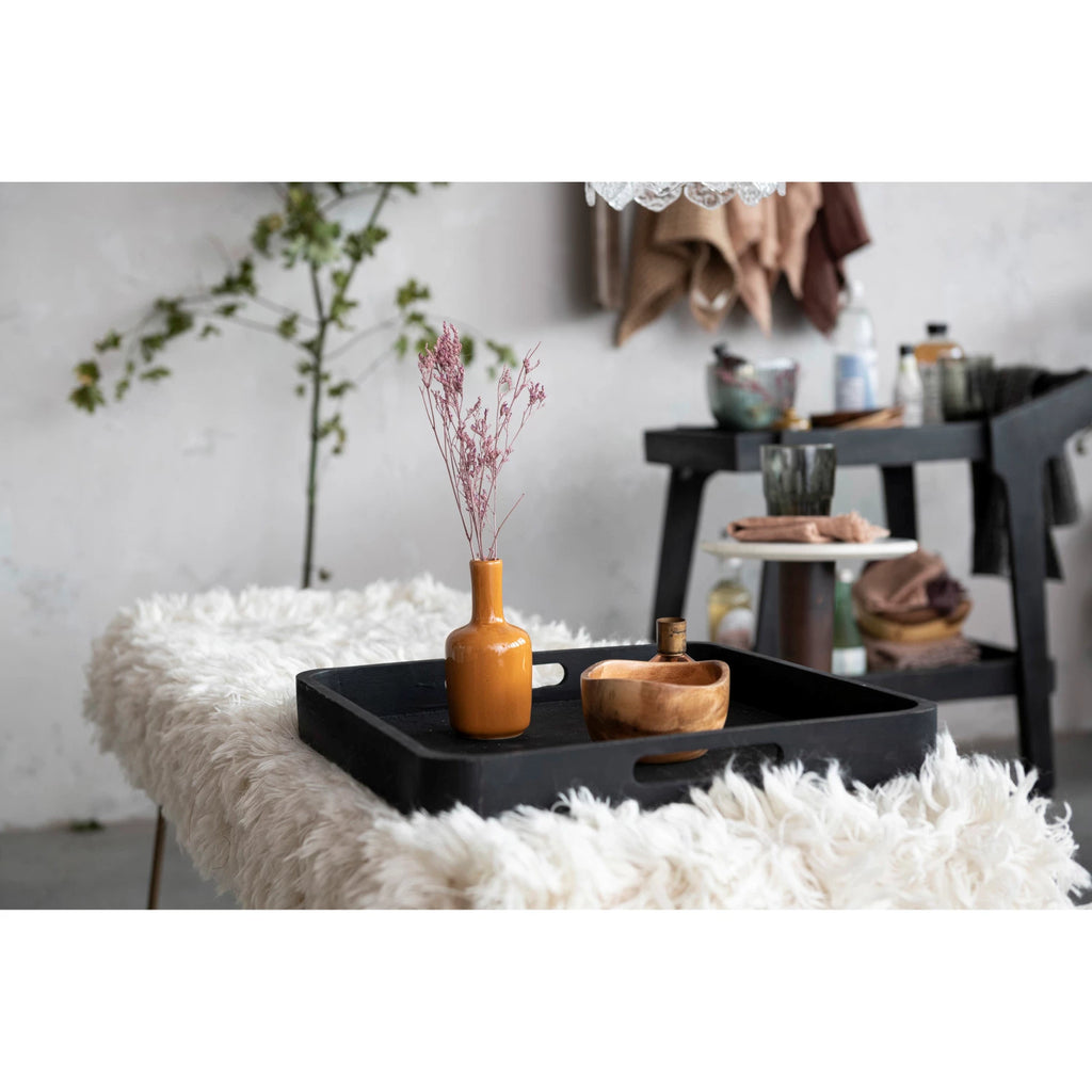 Decorative Mango Wood Tray w/ Handles, Black