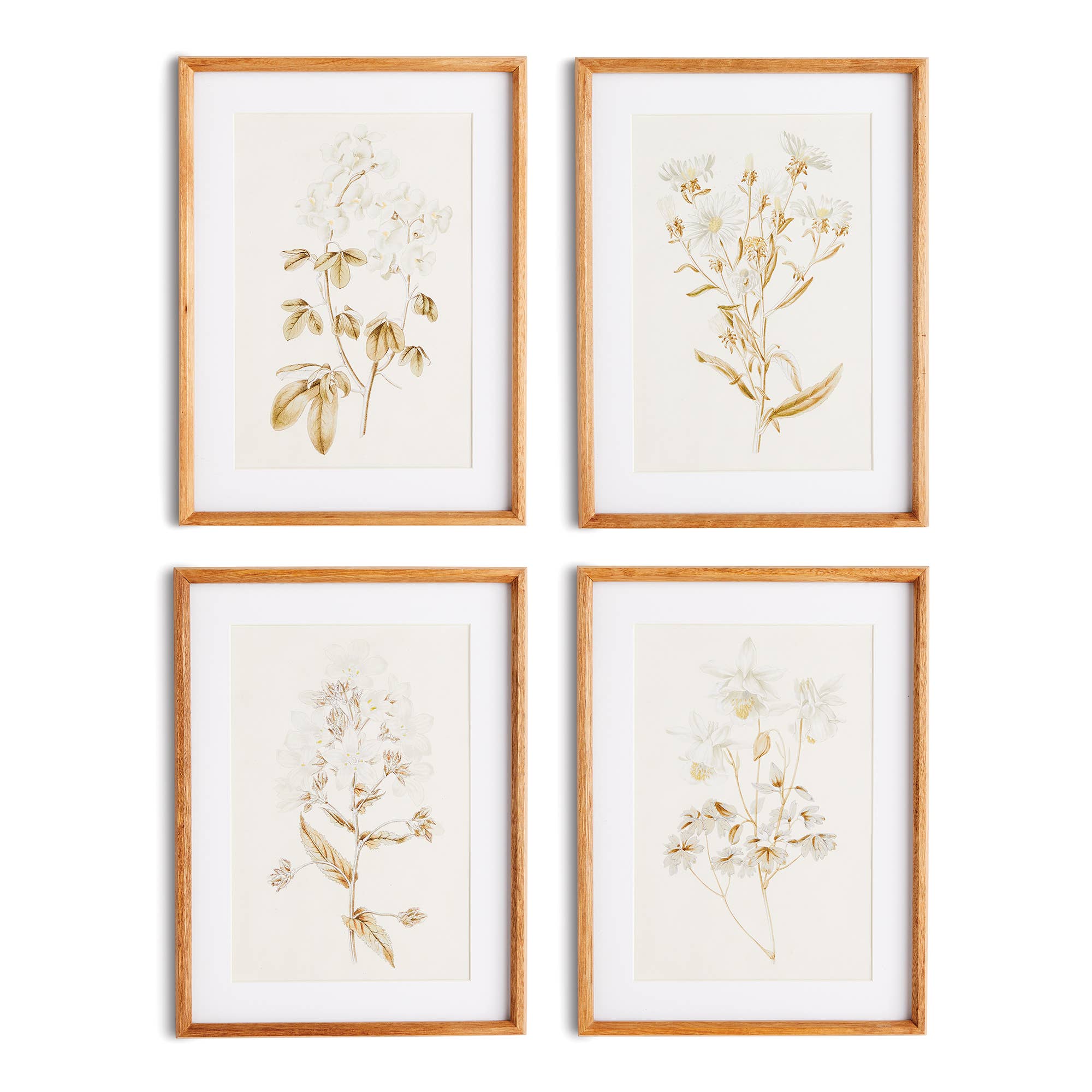 Fleur De Blanc Prints