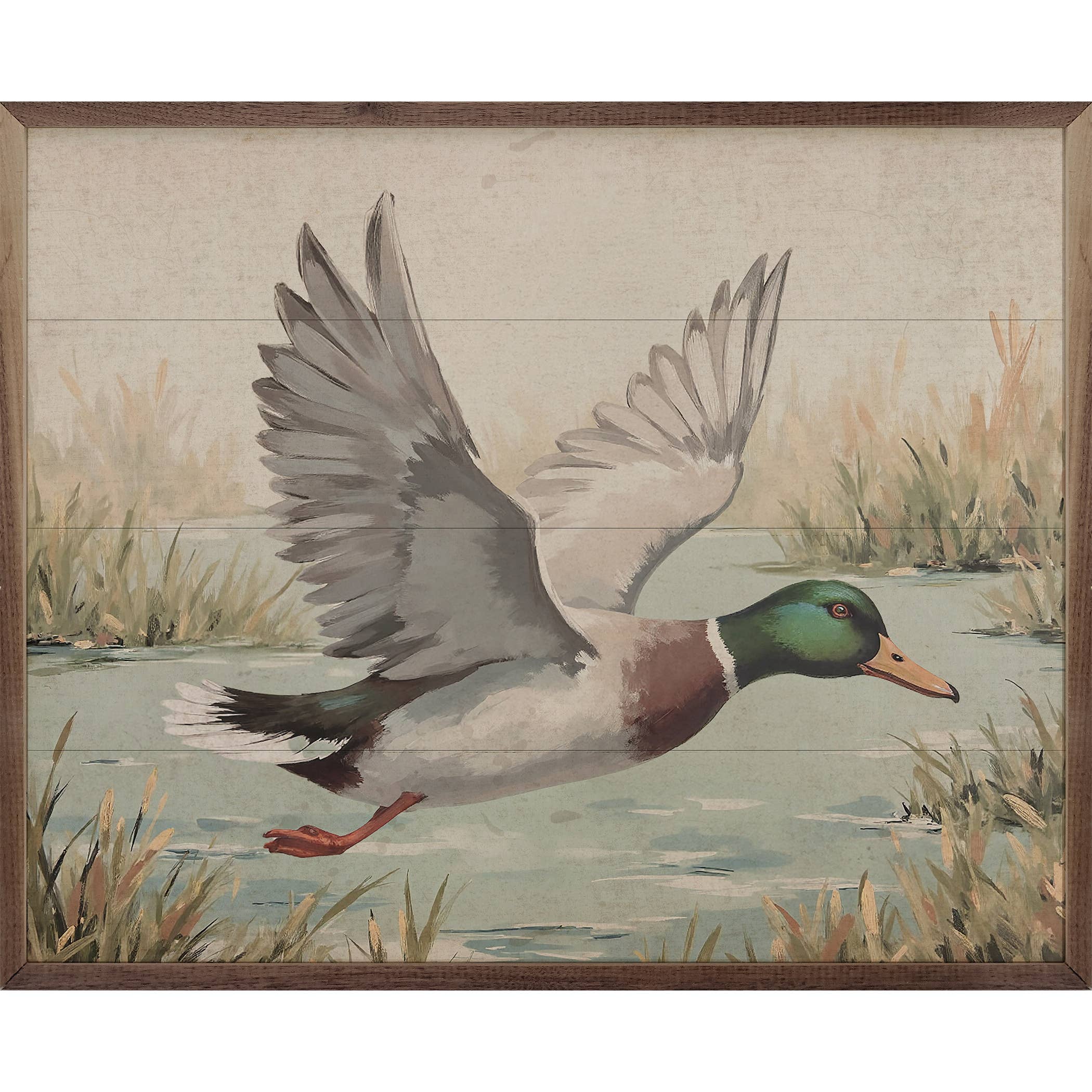 Duck Over Pond
