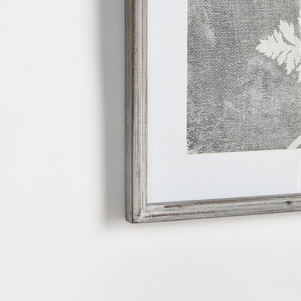 Blooming Queen Anne's Lace Prints