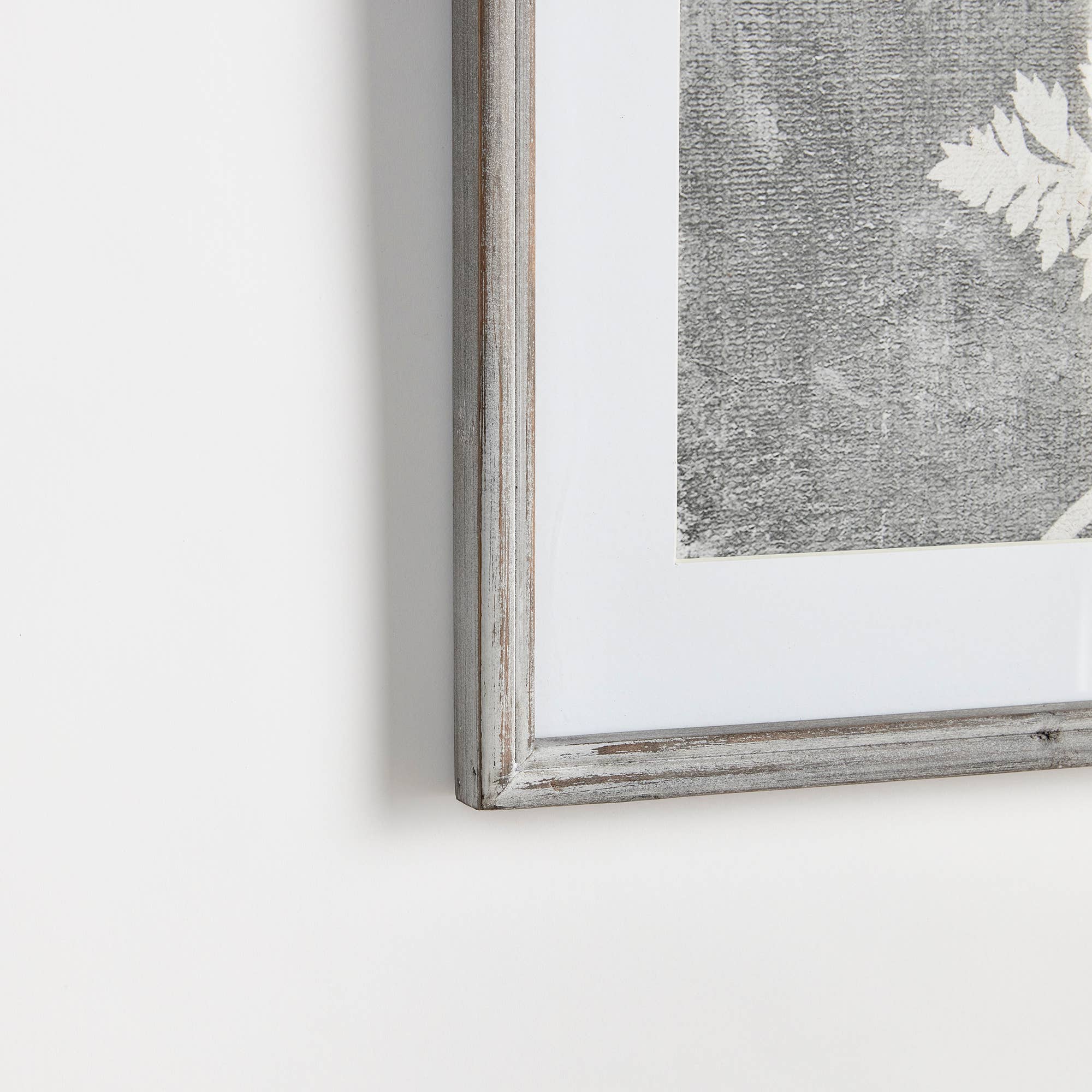 Blooming Queen Anne's Lace Prints