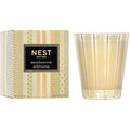 Nest New York Classic Candle, 8.1 oz Birchwood Pine