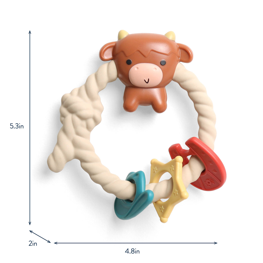 Ritzy Rattle Silicone Teether Rattles