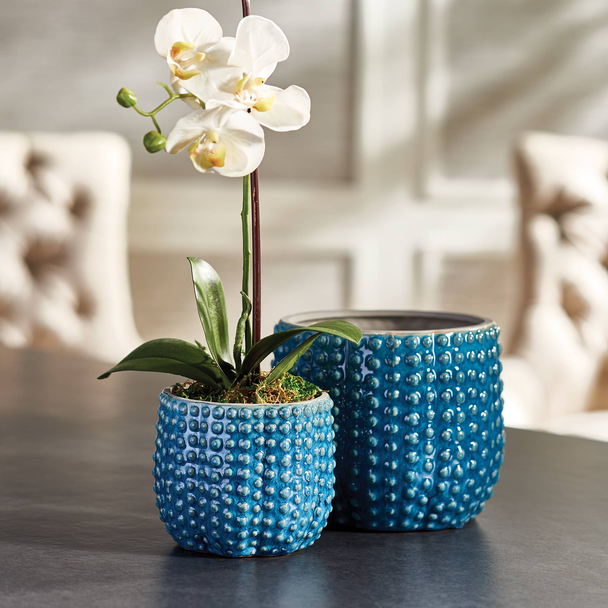 Urchin Pots