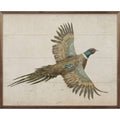Pheasant