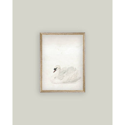 Swan Framed Antique Art