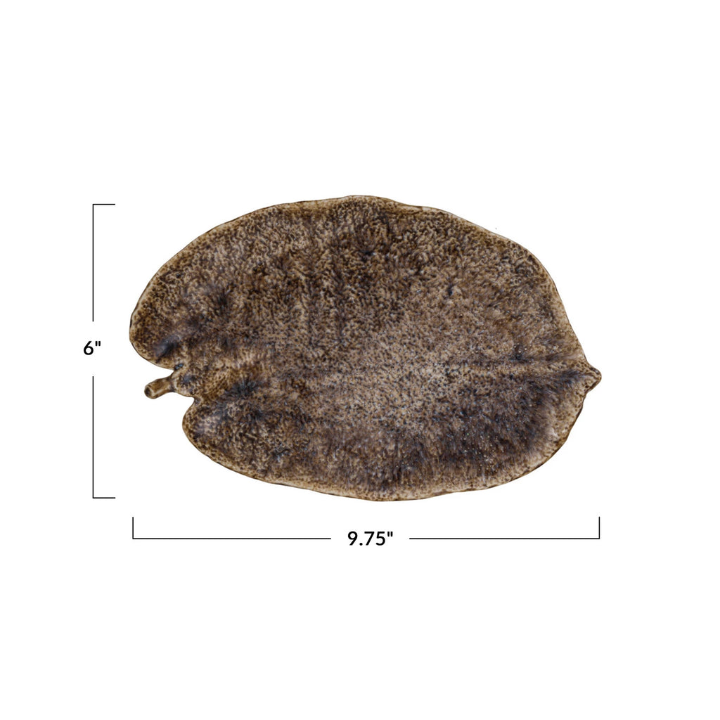 Brown leaf with measurements on a white background