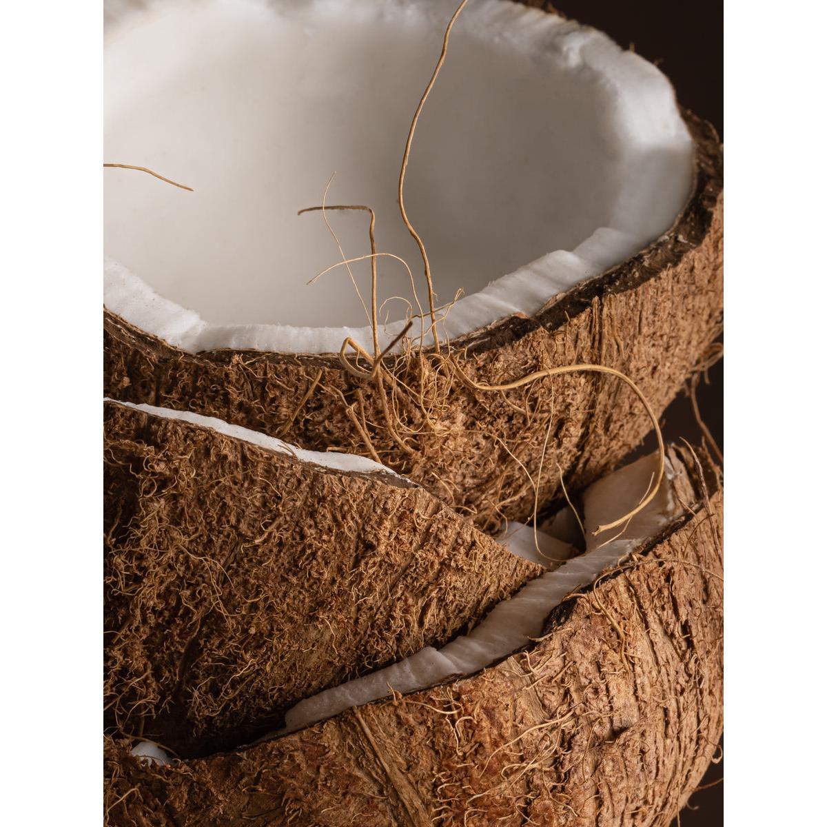 Coconut Sugar- Smart Vial