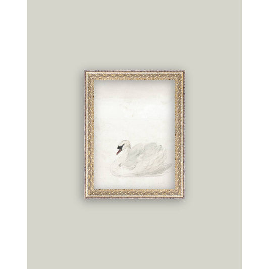 Swan Framed Antique Art