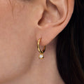 Orsay Huggie Hoops - Gold - White Topaz