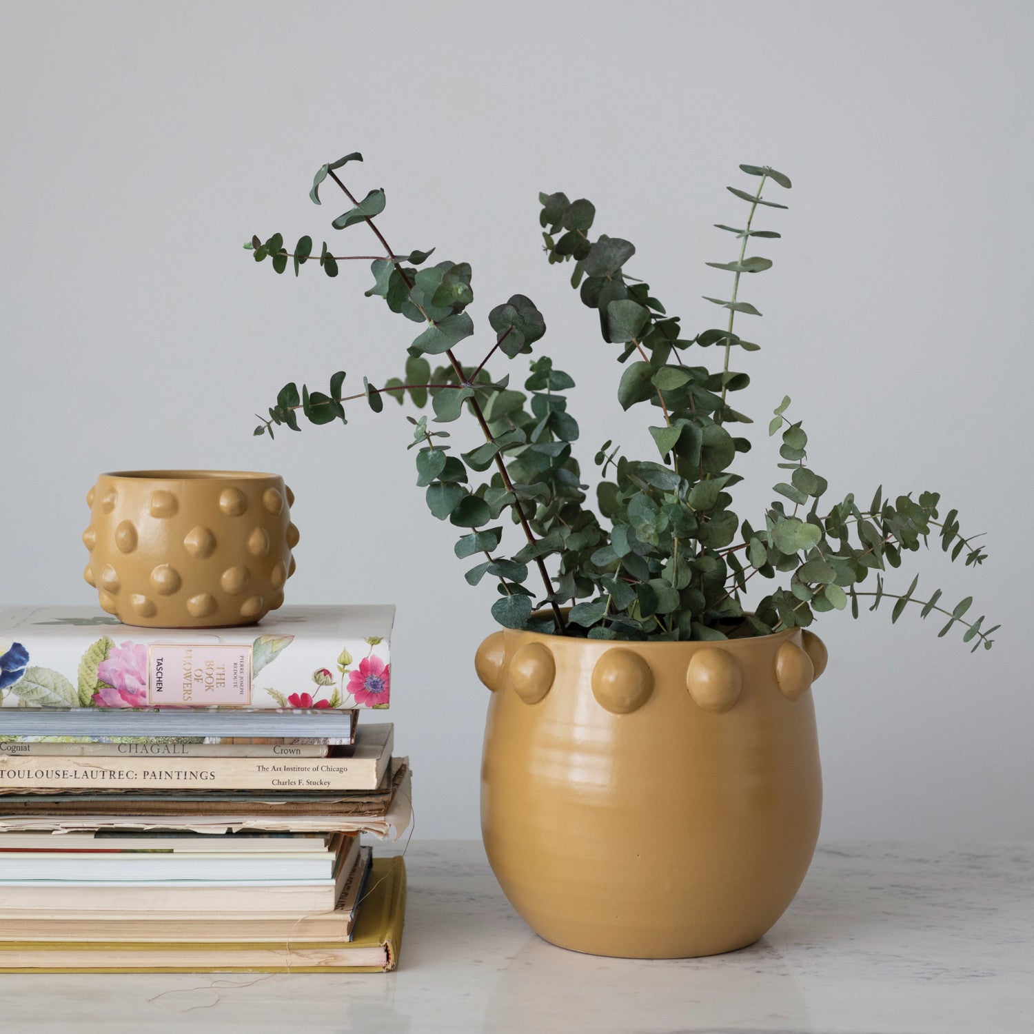 Terra-cotta Planter w/ Raised Dots