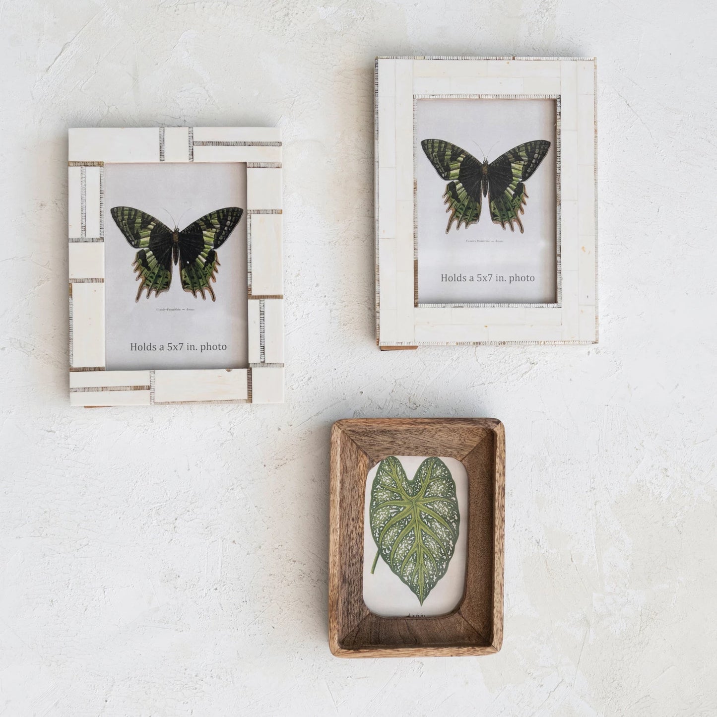 Resin Photo Frame w/ Horn Inlay, Ivory Color, 2 Styles (Each One Will Vary)