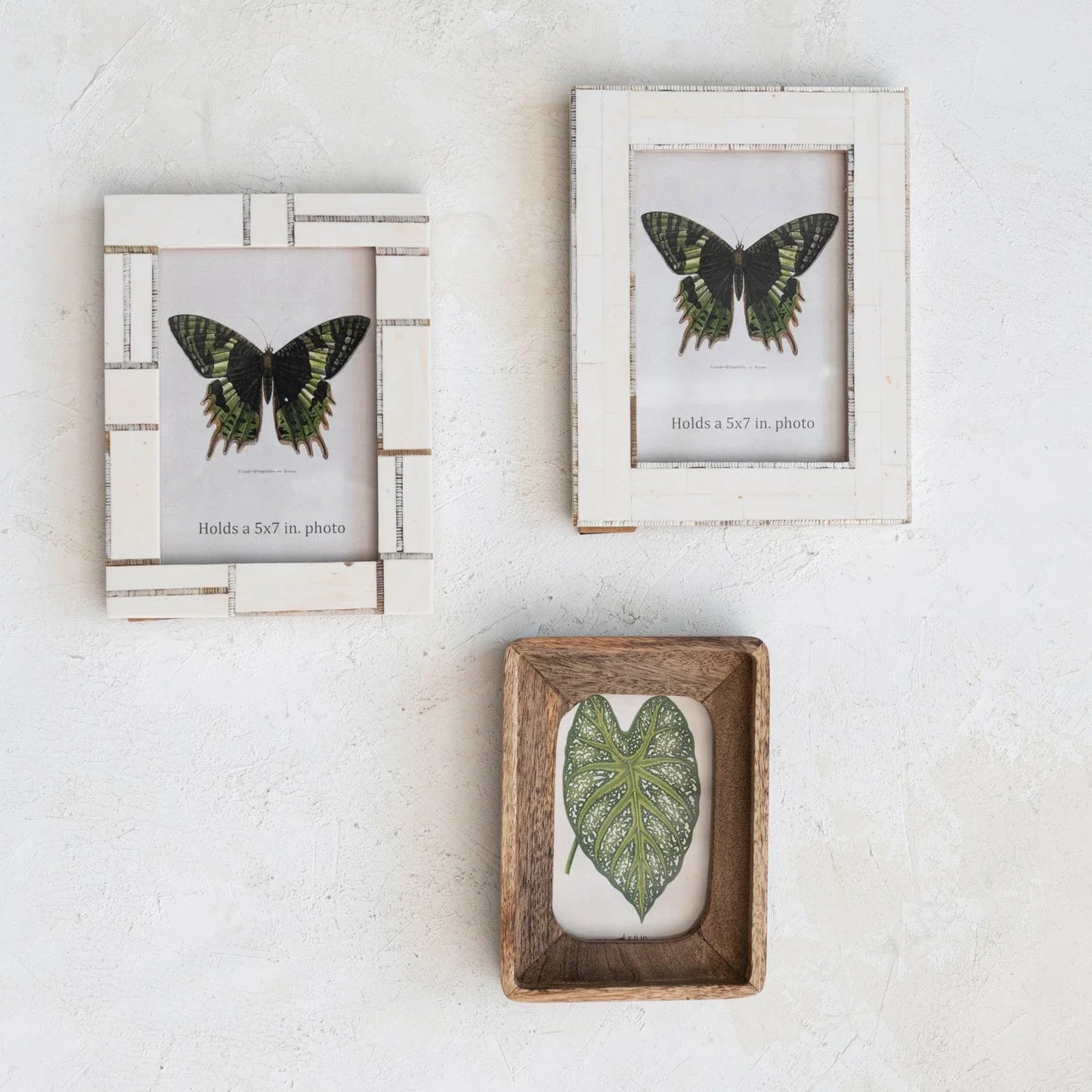 Resin Photo Frame w/ Horn Inlay, Ivory Color, 2 Styles (Each One Will Vary) | Bridal Shower Hannah Menefee & Kamden Lucas