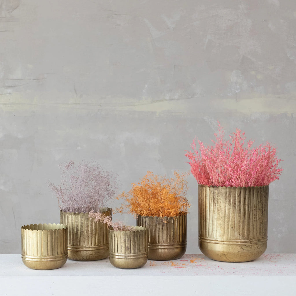 Metal Ribbed Planters with Scalloped Rims