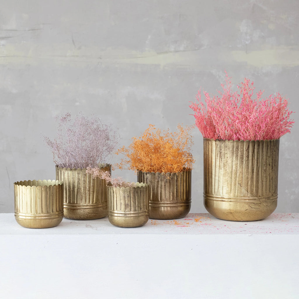 Metal Ribbed Planters with Scalloped Rims