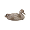 Resin Duck, Heavily Distressed Finish (Each Will Vary)