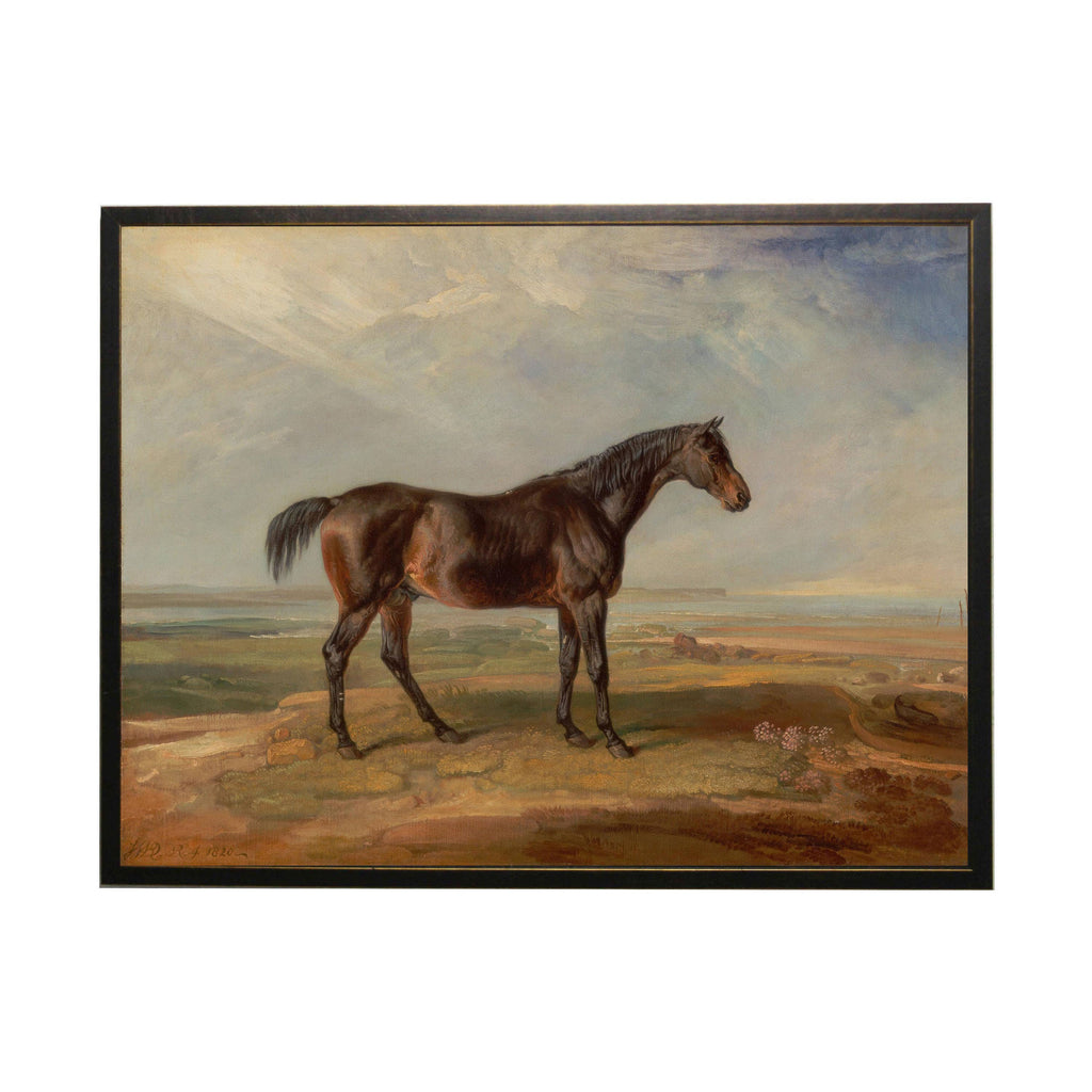 Vintage Horse Study Framed Print by Antique Curiosities Inc