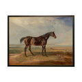 Vintage Horse Study Framed Print by Antique Curiosities Inc