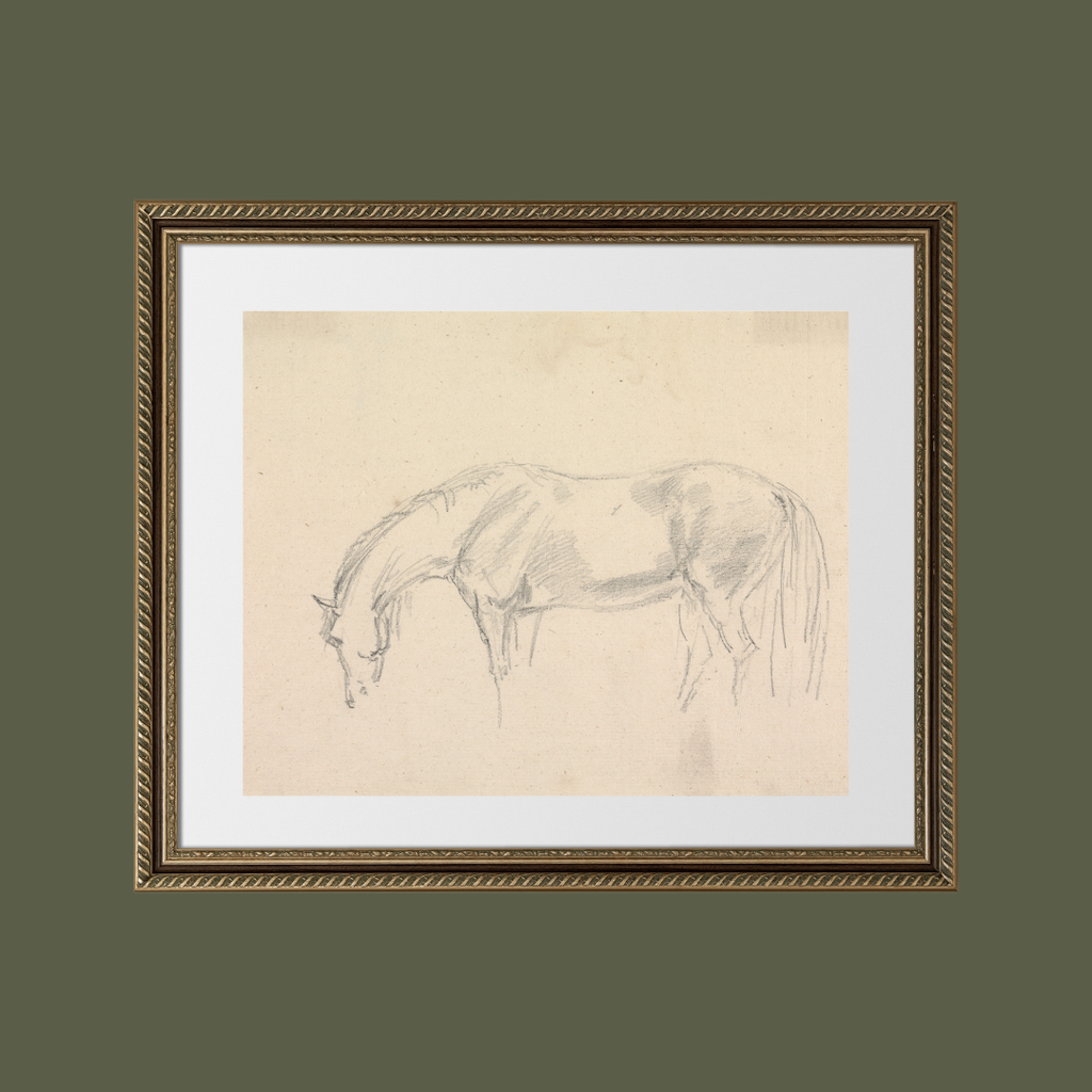 A Horse Grazing Sketch Antique Art Print