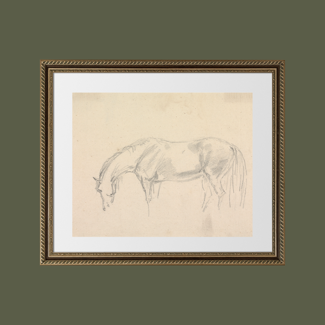 A Horse Grazing Sketch Antique Art Print