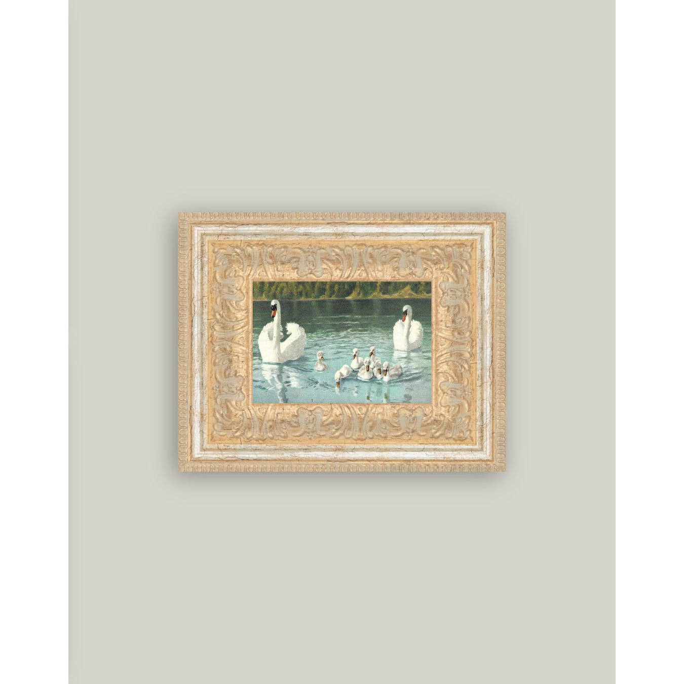 Swan Family Framed Antique Art