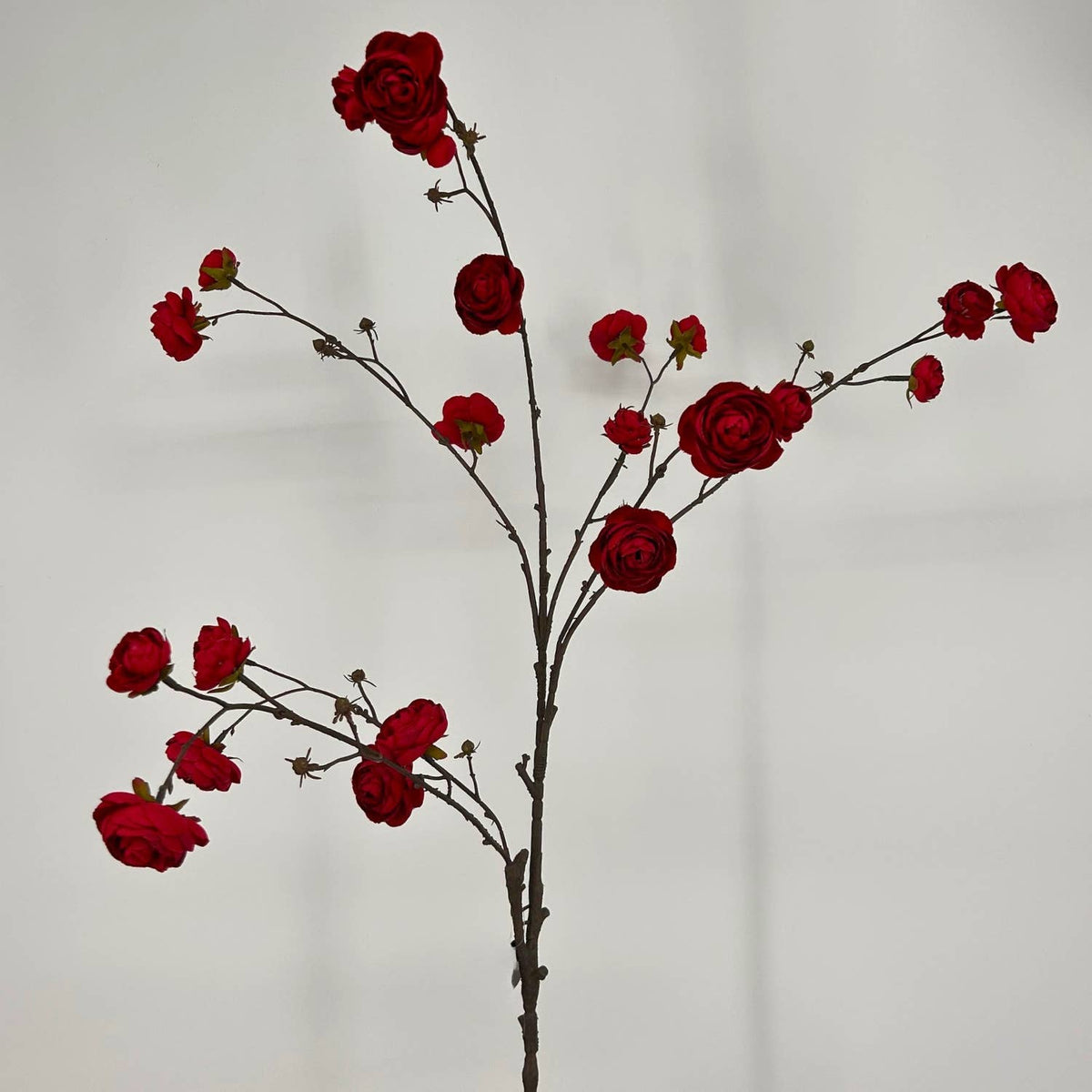 Blooming Ranunculus Branch 44" - Red