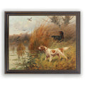Antique Curiosities Inc Caucasian Pheasant Vintage Framed Print