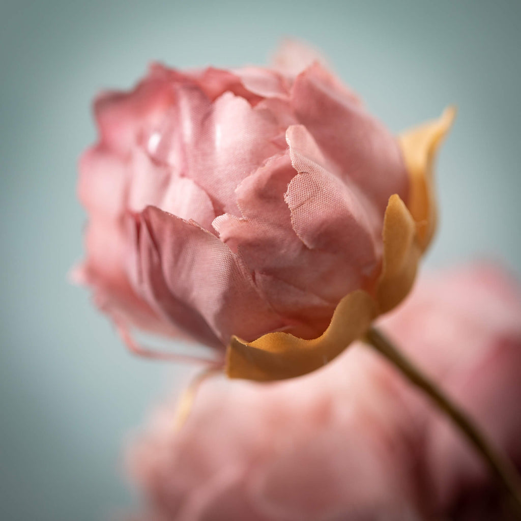 Blooming Peony Spray, Blush Pink