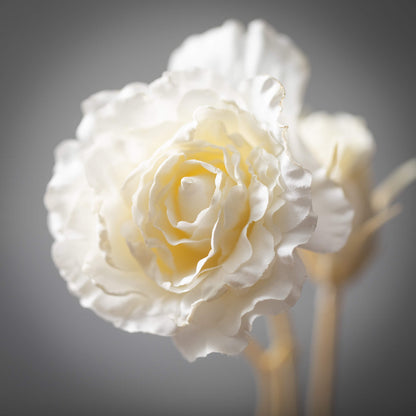 Lisianthus Spray, Soft Cream