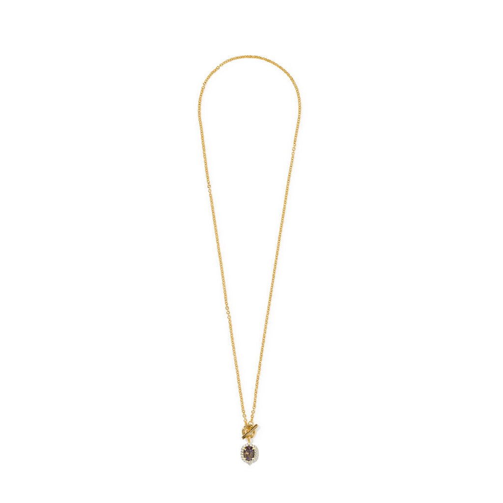 Daphne Crystal Frame Toggle Necklace