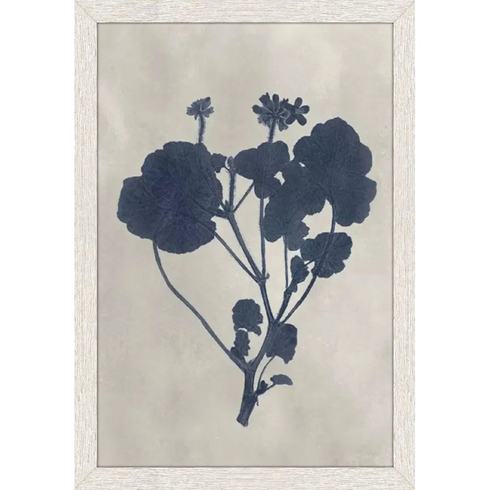 Pressed Flower I