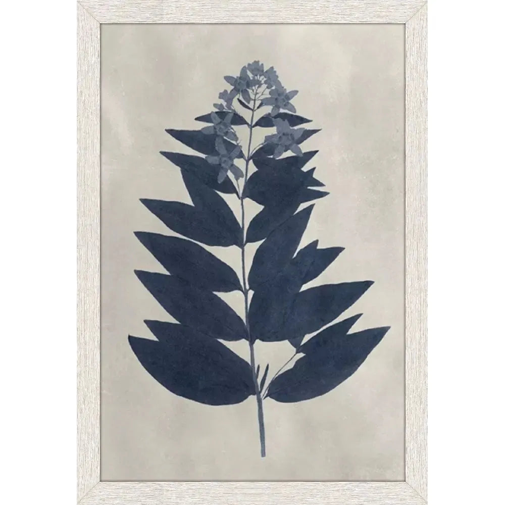 Pressed Flower I
