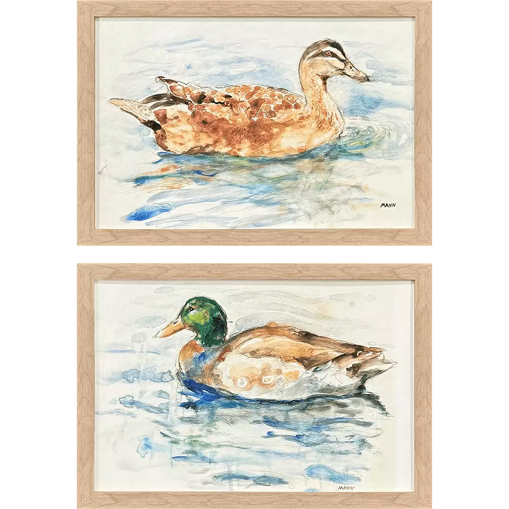Water Ducks