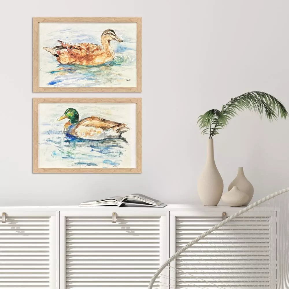 Water Ducks