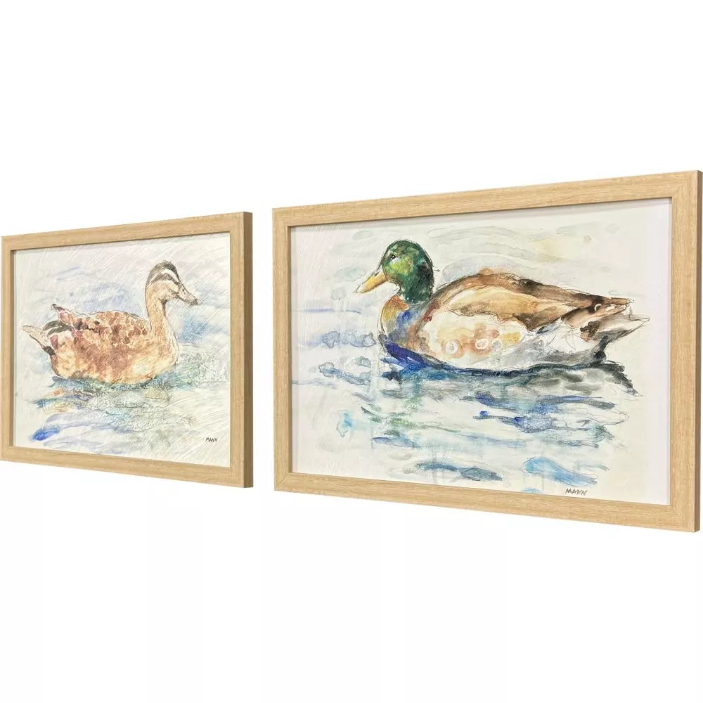 Water Ducks